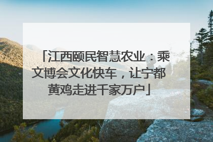 江西颐民智慧农业：乘文博会文化快车，让宁都黄鸡走进千家万户